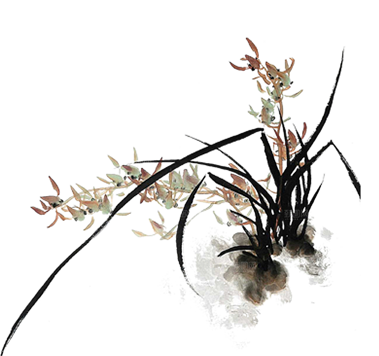 免抠植物古风花草插画元素