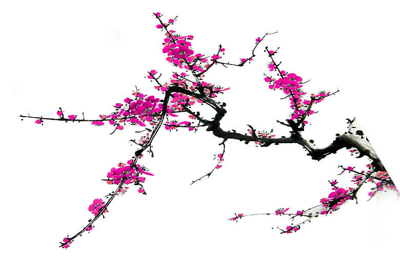 免抠植物古风花草插画元素