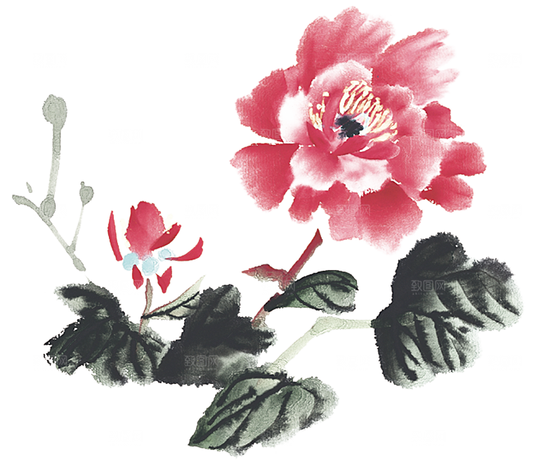免抠植物古风花草插画元素