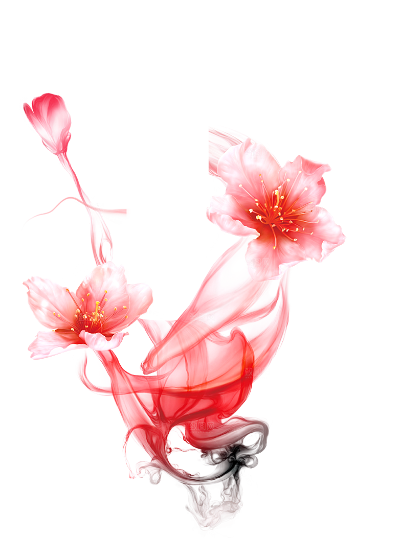 免抠植物古风花草插画元素