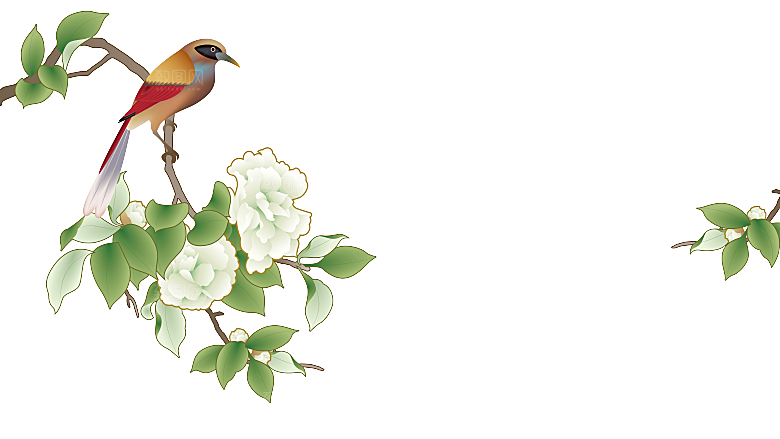 免抠植物古风花草插画元素