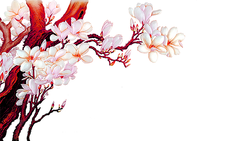 免抠植物古风花草插画元素