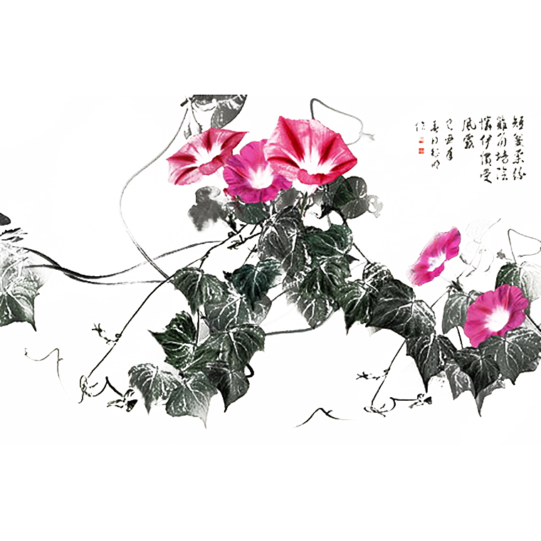 免抠植物古风花草插画元素