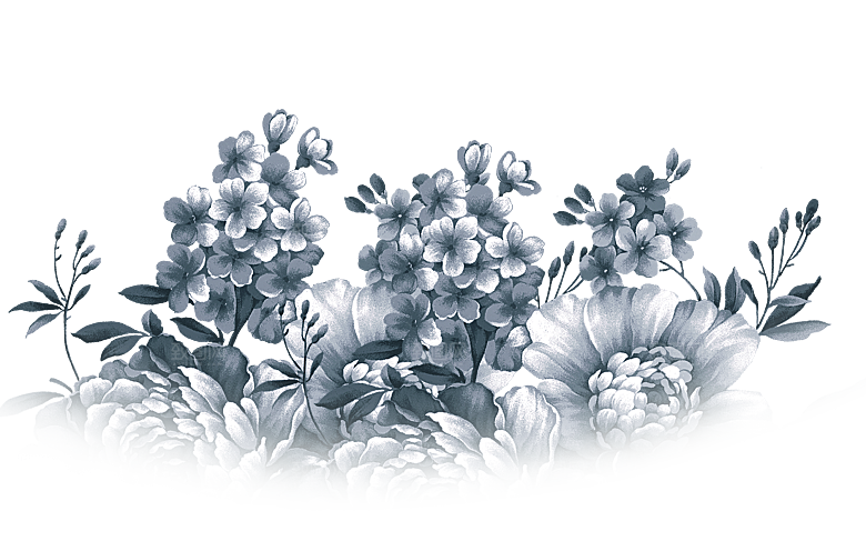 免抠植物古风花草插画元素