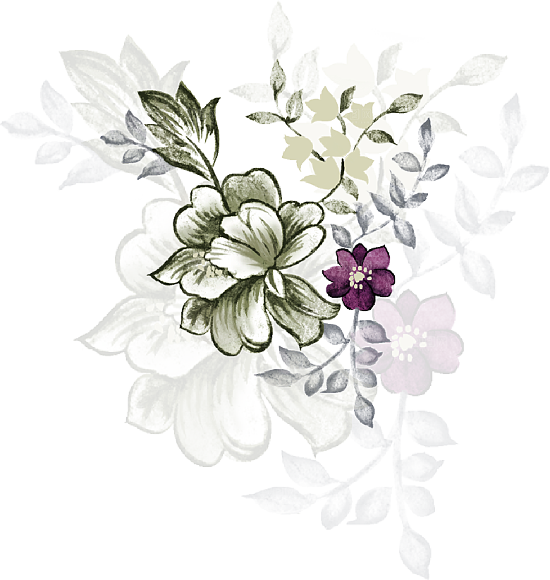 免抠植物古风花草插画元素