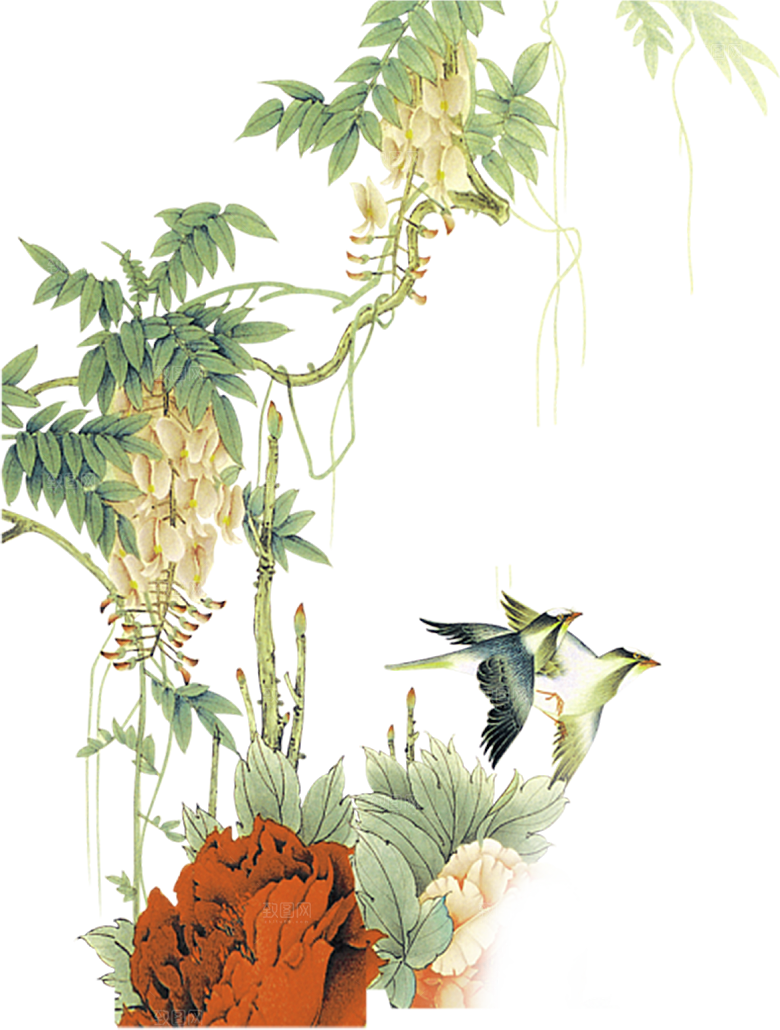 免抠植物古风花草插画元素