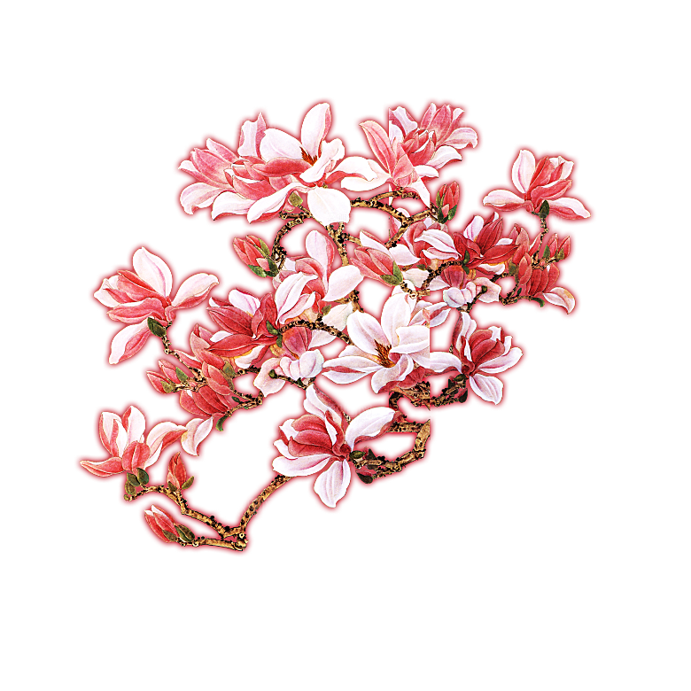 免抠植物古风花草插画元素