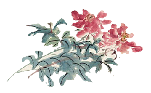 免抠植物古风花草插画元素