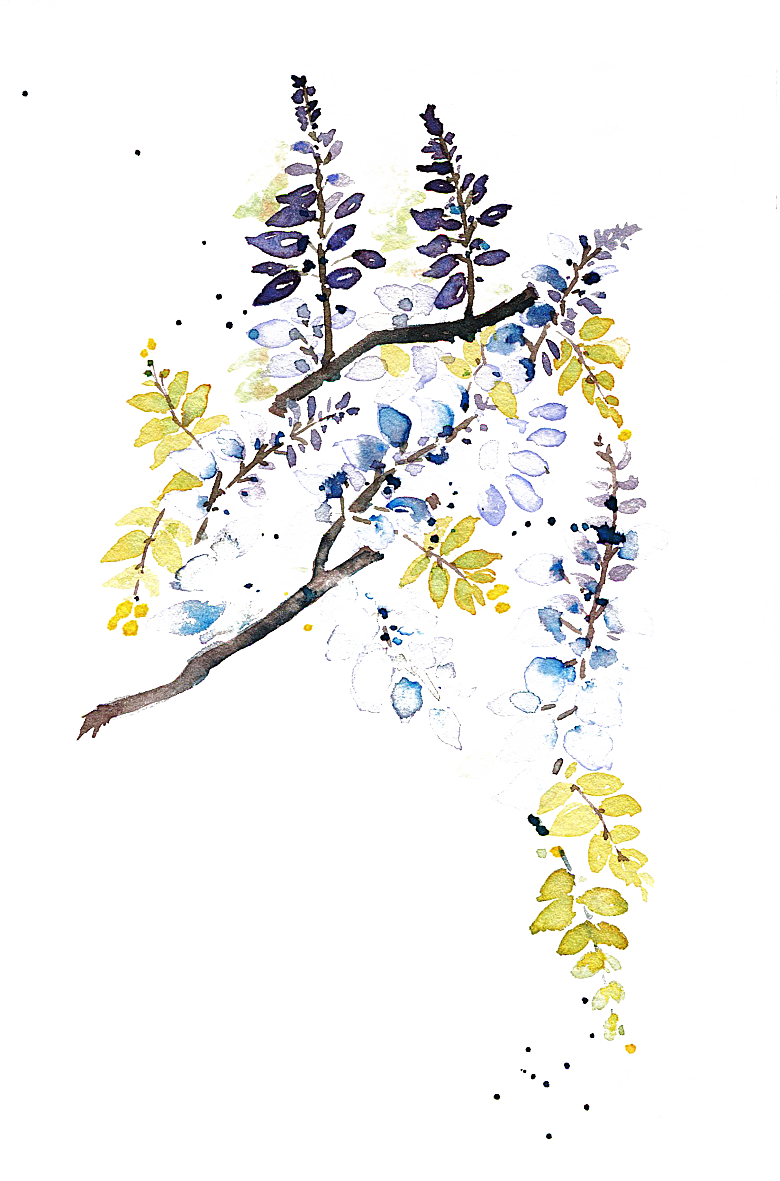 免抠植物古风花草插画元素