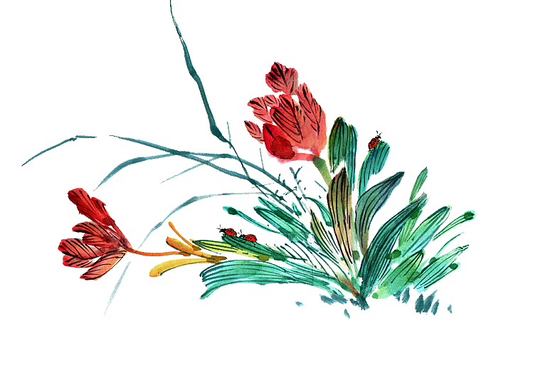 免抠植物古风花草插画元素