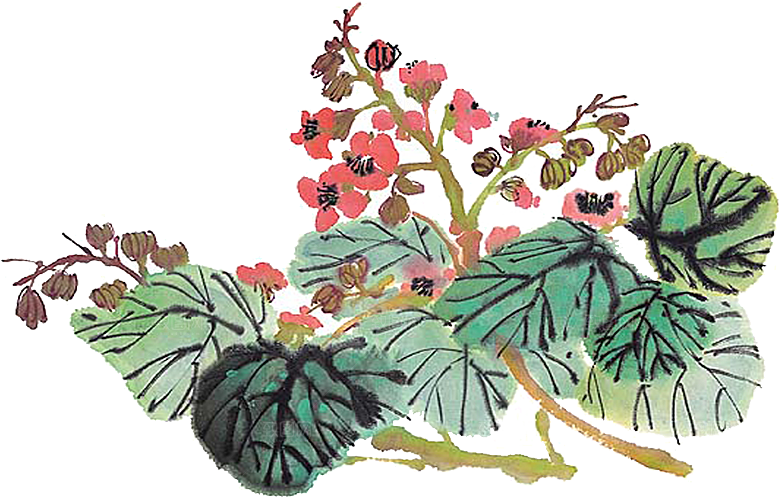免抠植物古风花草插画元素