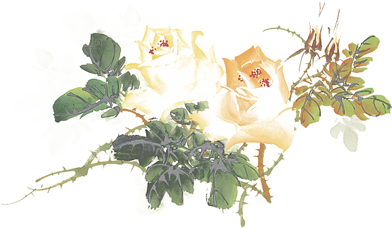免抠植物古风花草插画元素