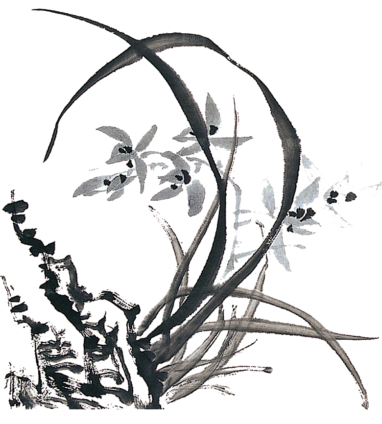 免抠植物古风花草插画元素