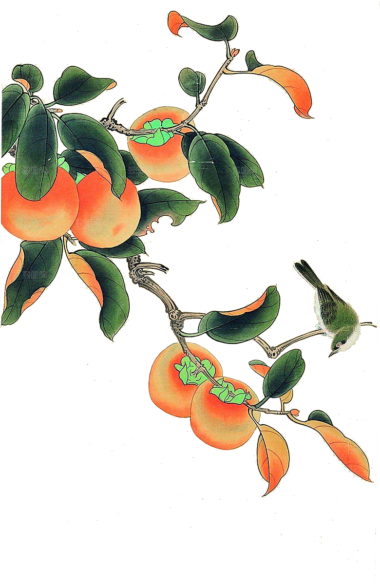 免抠植物古风花草插画元素
