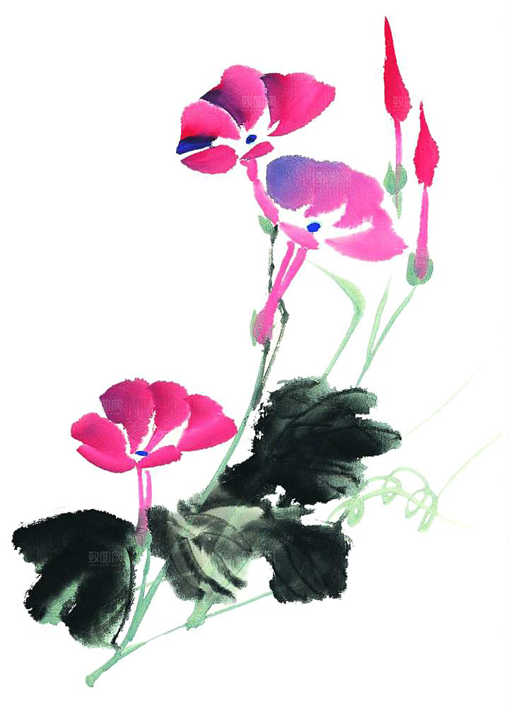 免抠植物古风花草插画元素