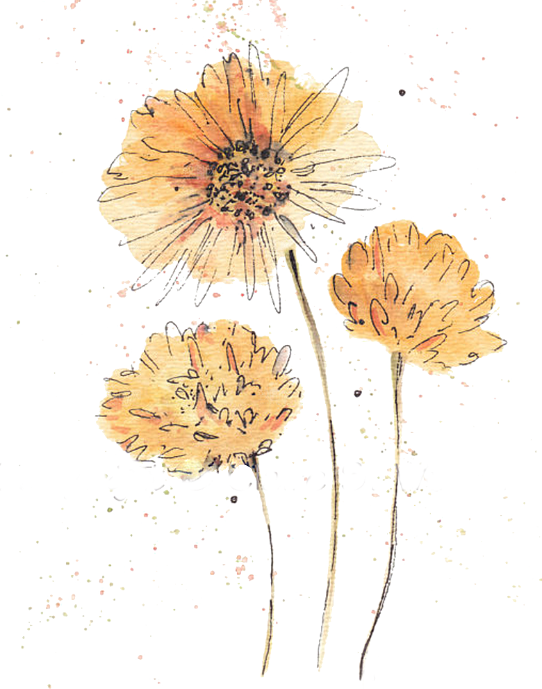免抠植物古风花草插画元素