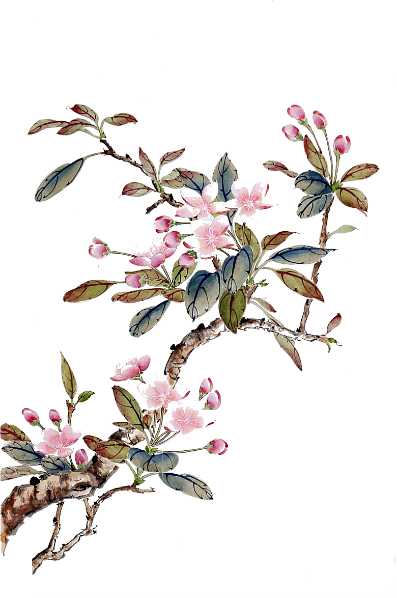 免抠植物古风花草插画元素