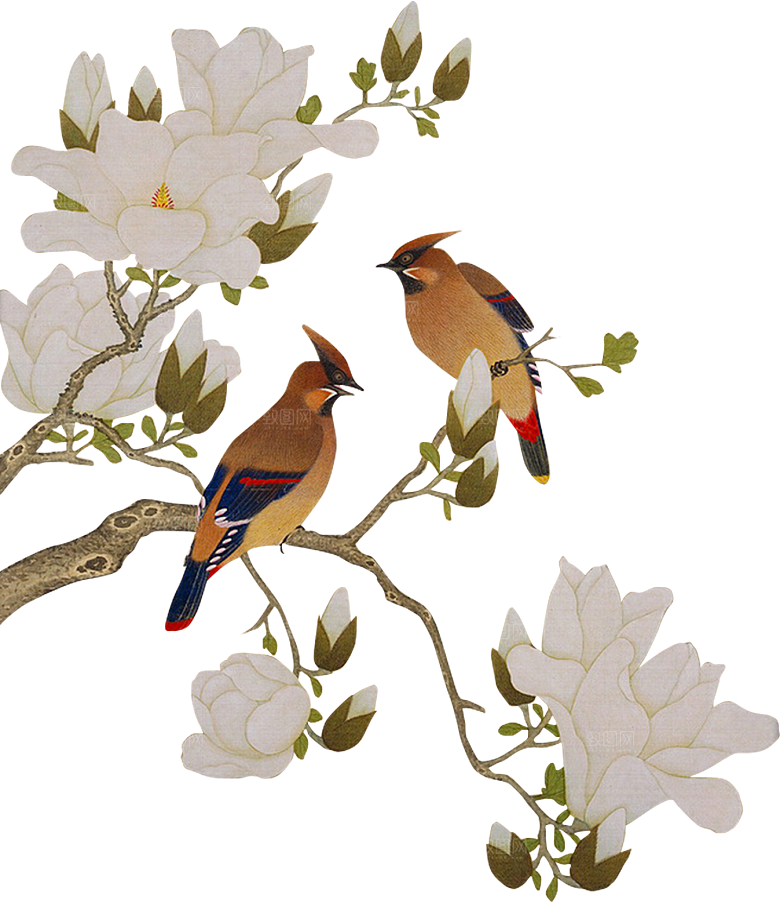 免抠植物古风花草插画元素