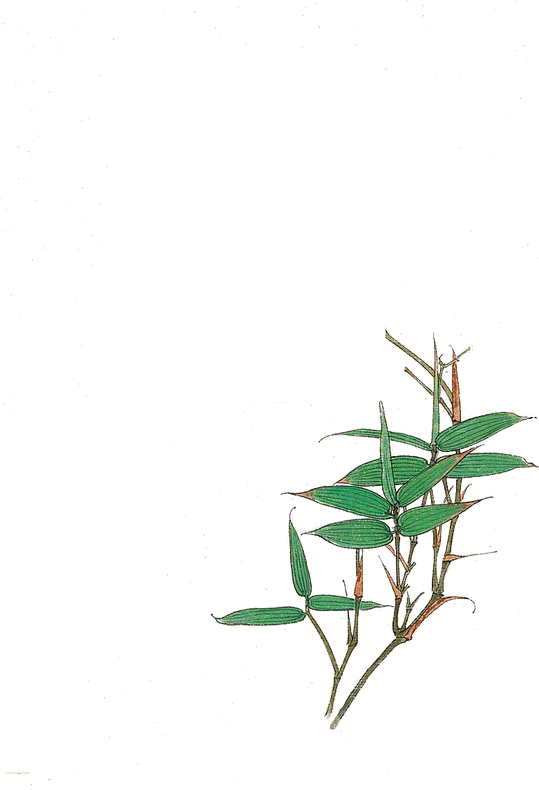 免抠植物古风花草插画元素