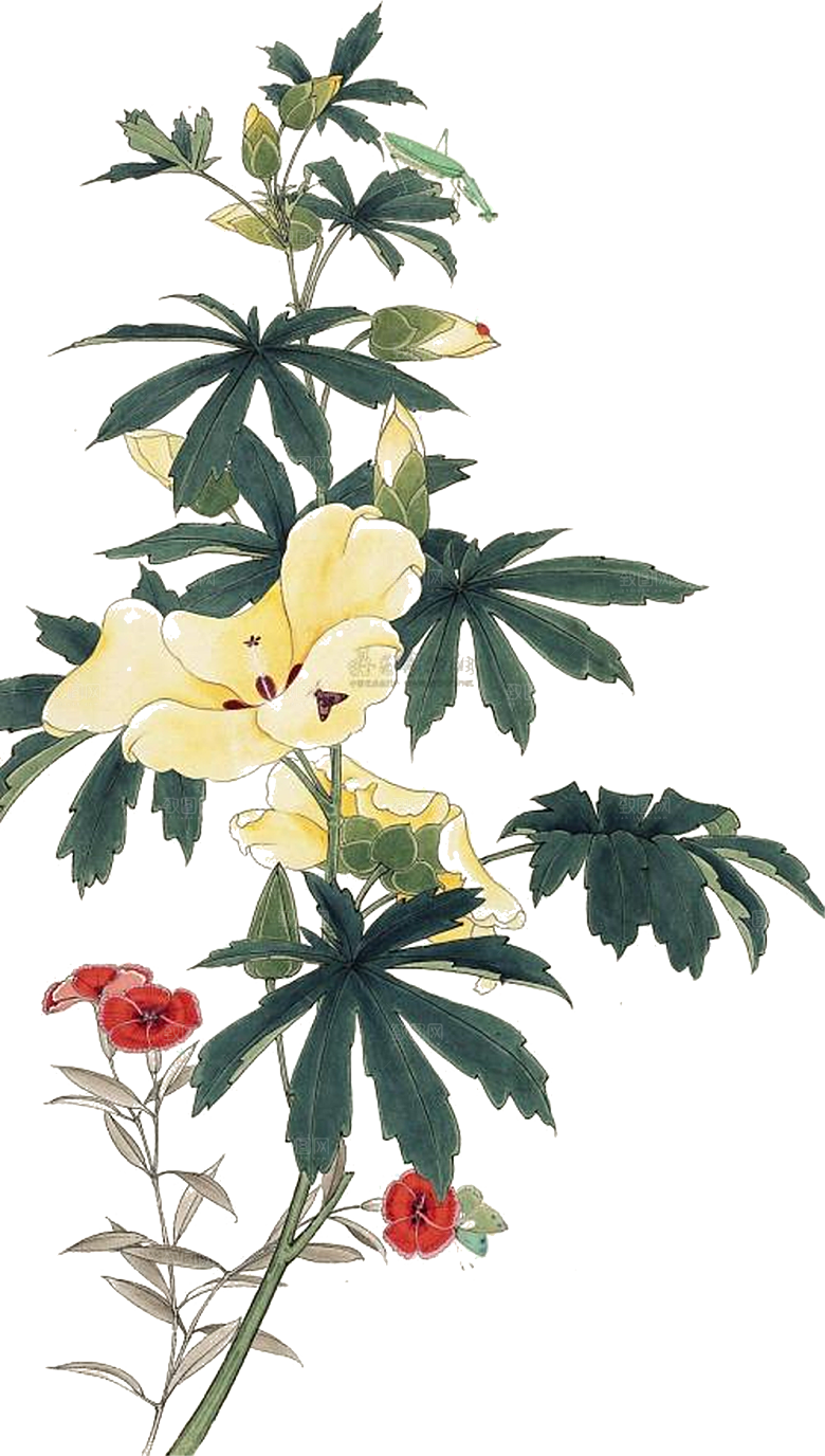 免抠植物古风花草插画元素