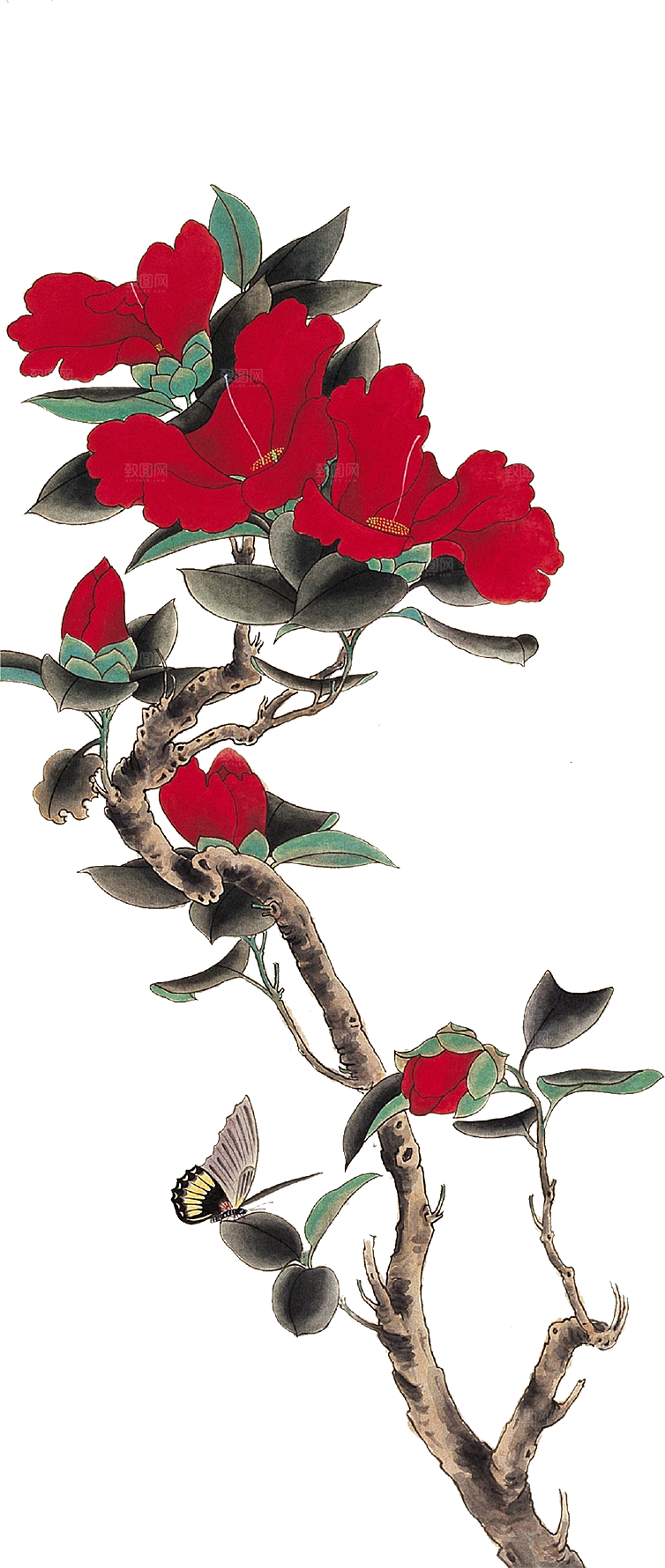 免抠植物古风花草插画元素