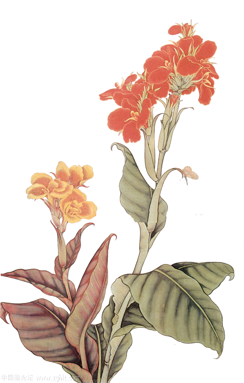 免抠植物古风花草插画元素