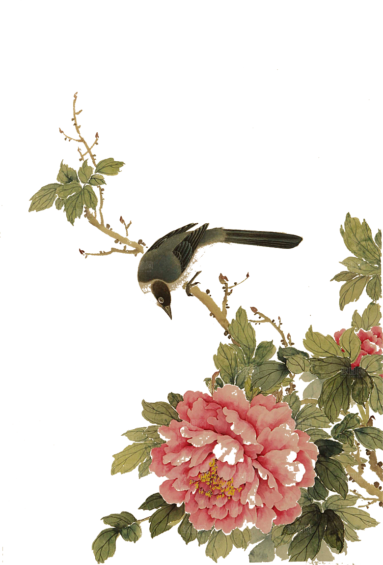 免抠植物古风花草插画元素