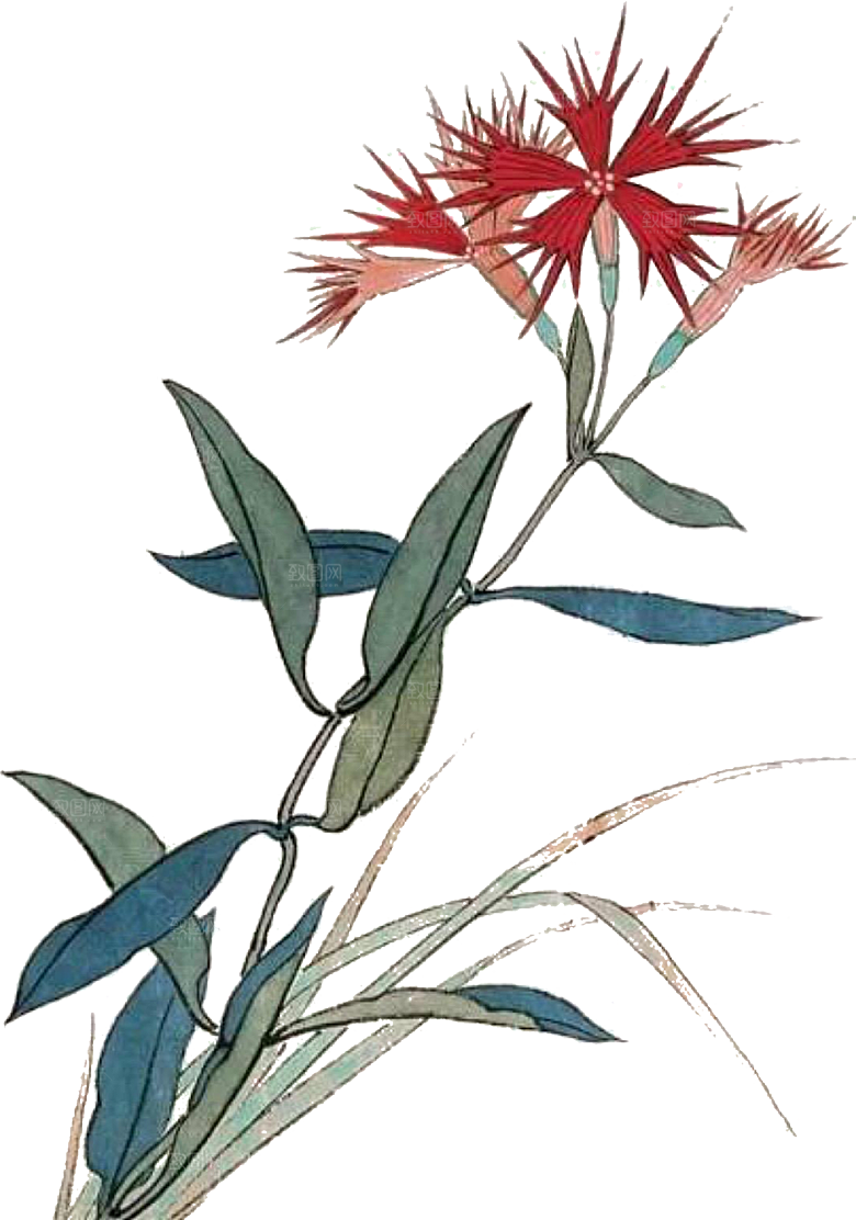 免抠植物古风花草插画元素