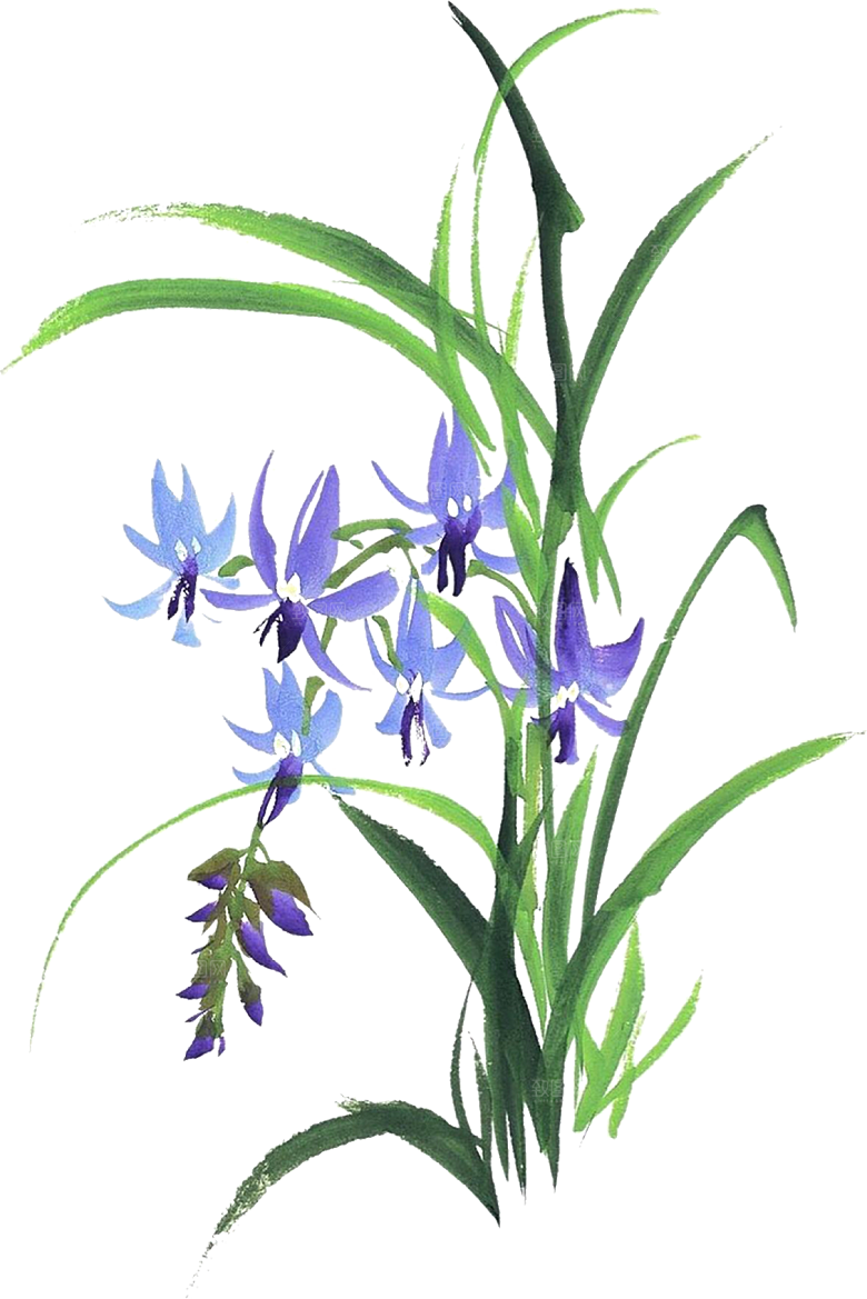 免抠植物古风花草插画元素