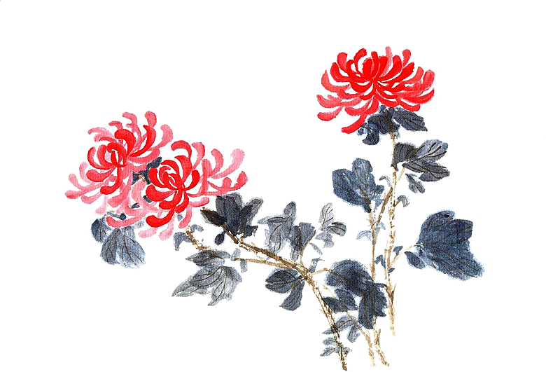 免抠植物古风花草插画元素