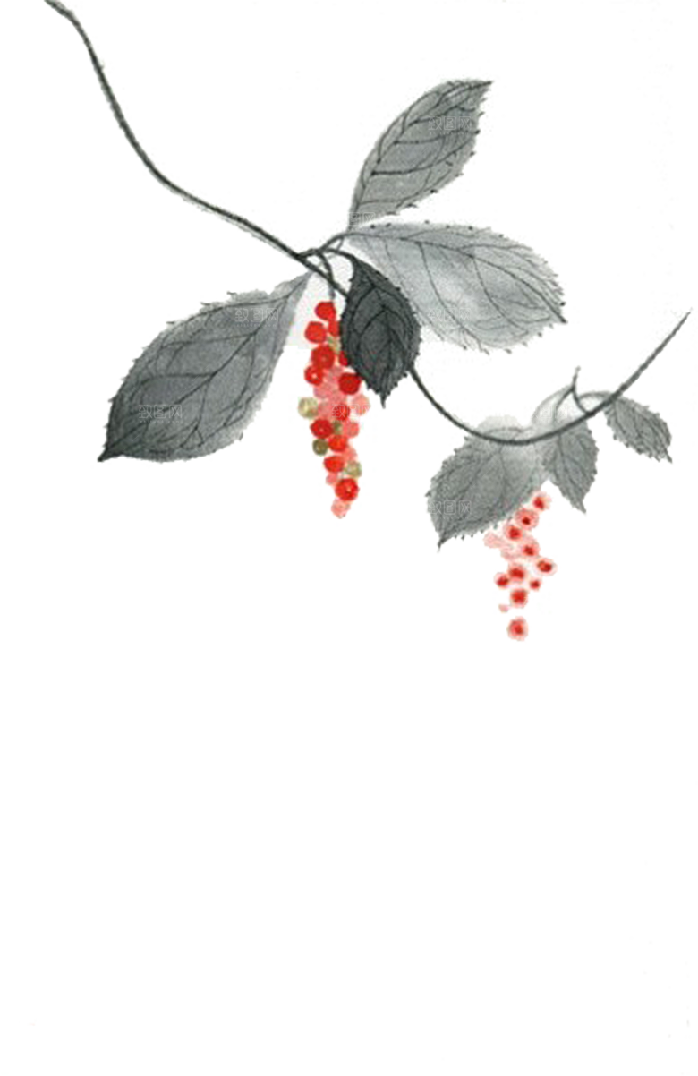 免抠植物古风花草插画元素
