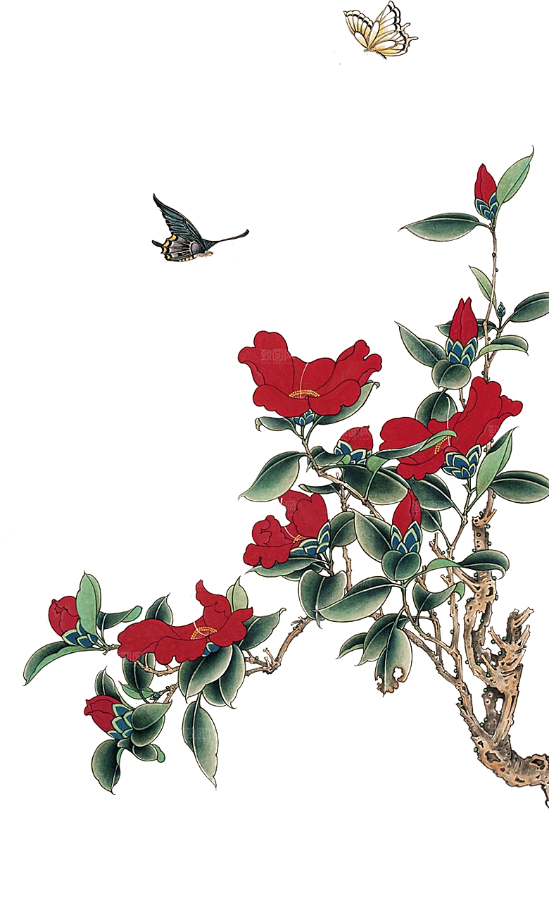 免抠植物古风花草插画元素
