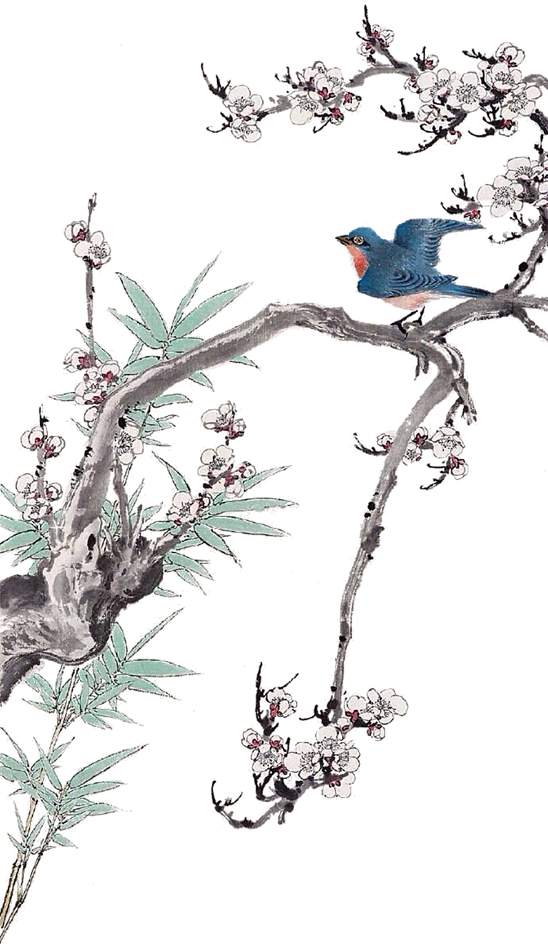 免抠植物古风花草插画元素