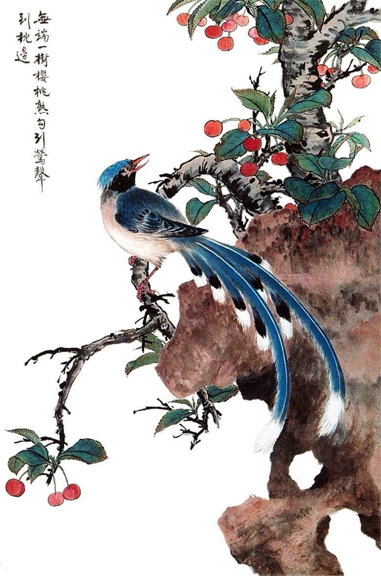免抠植物古风花草插画元素