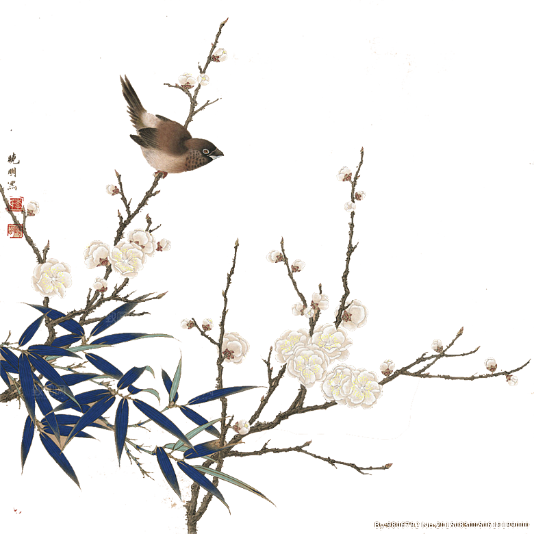 免抠植物古风花草插画元素