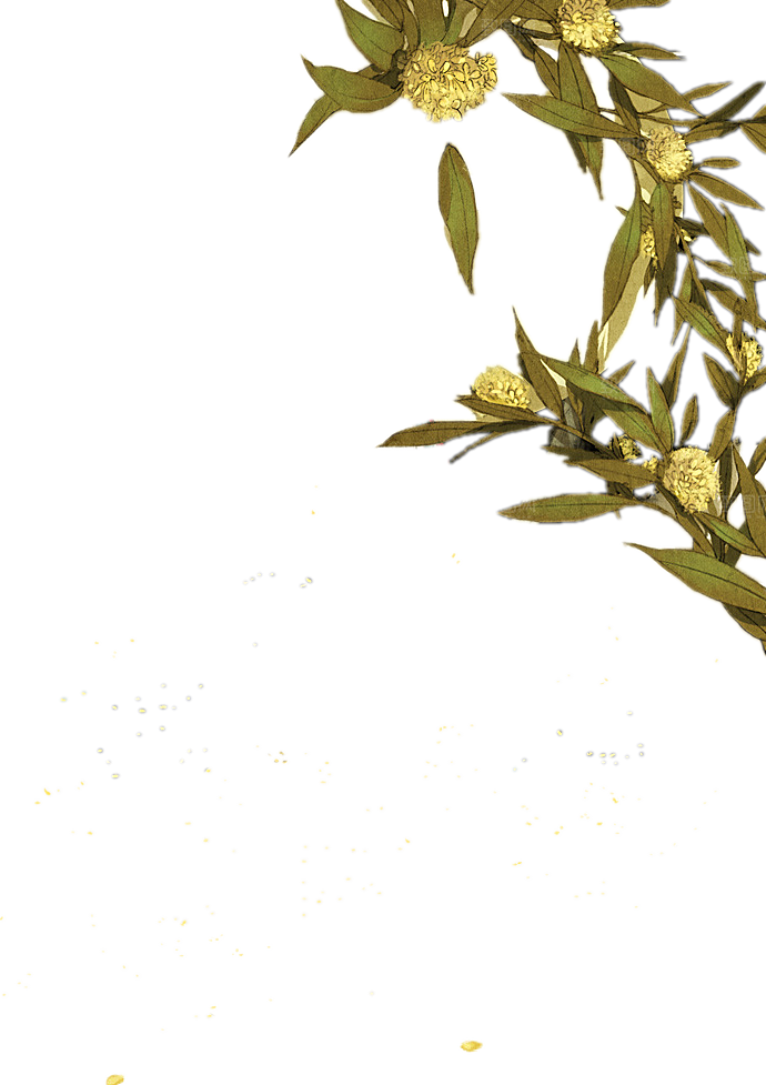 免抠植物古风花草插画元素