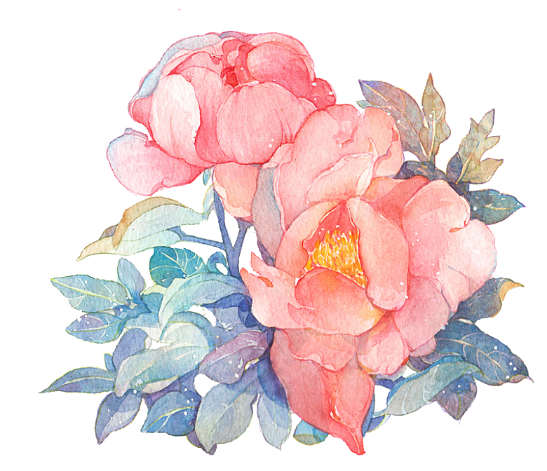 免抠植物古风花草插画元素