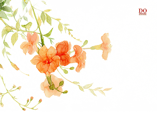免抠植物古风花草插画元素
