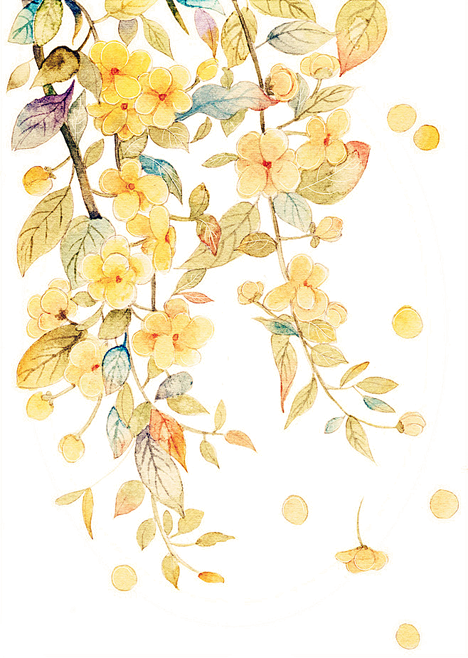 免抠植物古风花草插画元素
