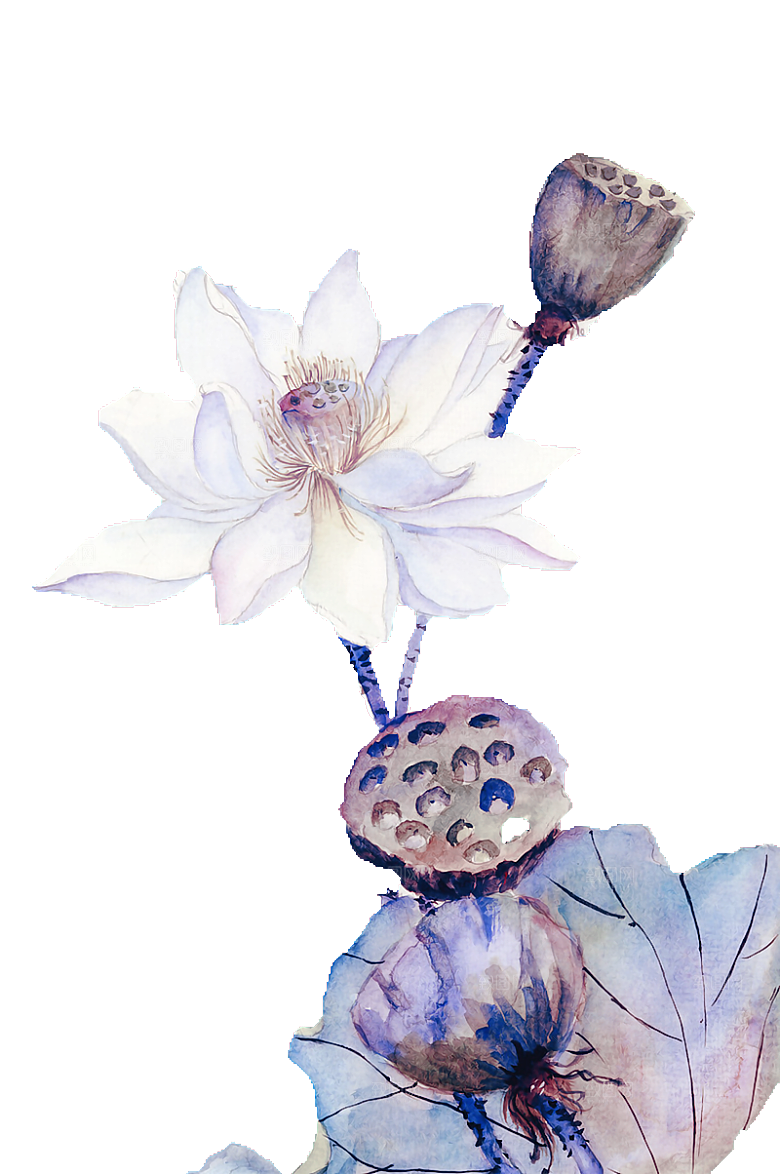 免抠植物古风花草插画元素
