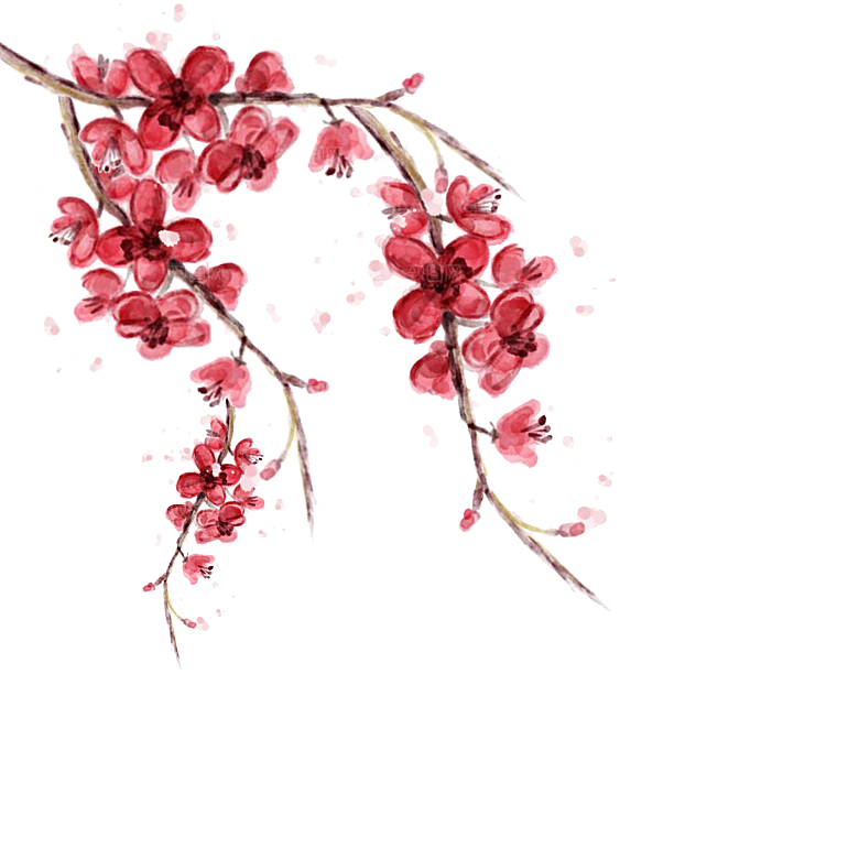 免抠植物古风花草插画元素