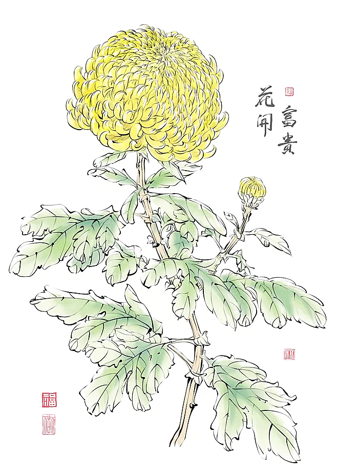 免抠植物古风花草插画元素