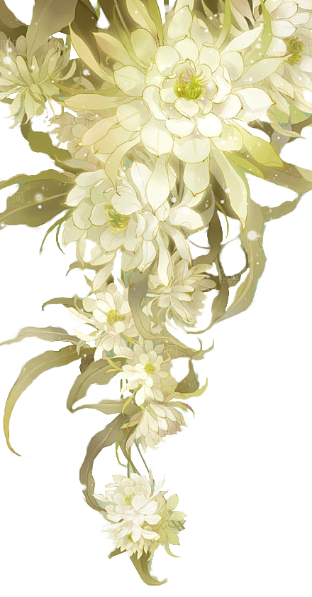 免抠植物古风花草插画元素