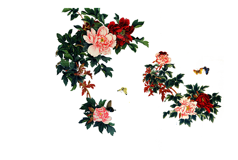 免抠植物古风花草插画元素