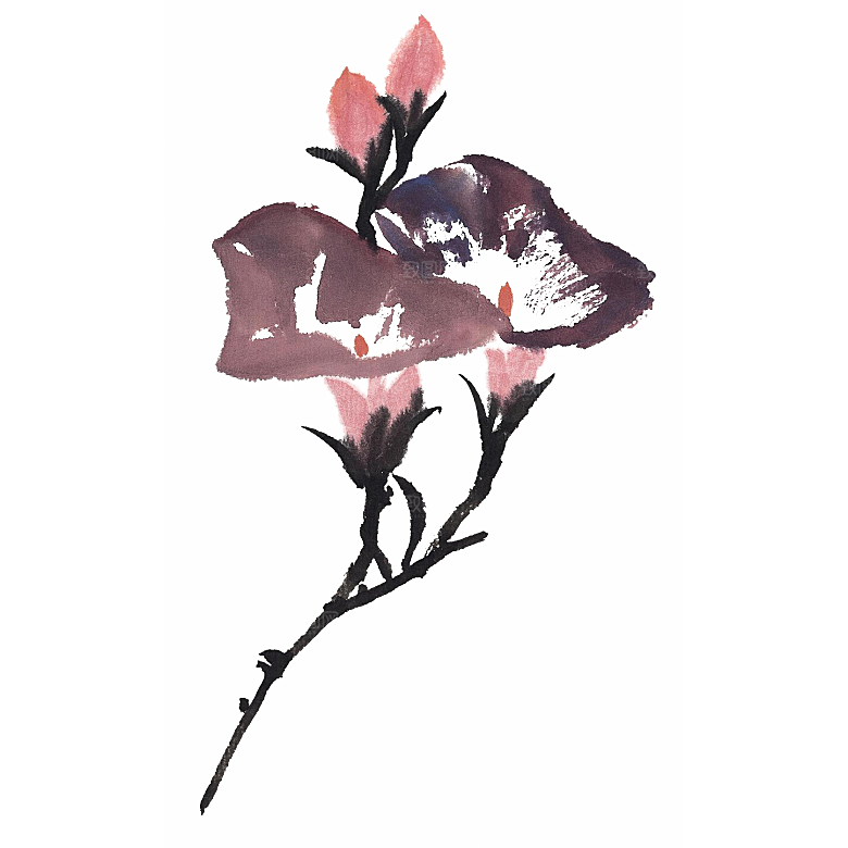免抠植物古风花草插画元素