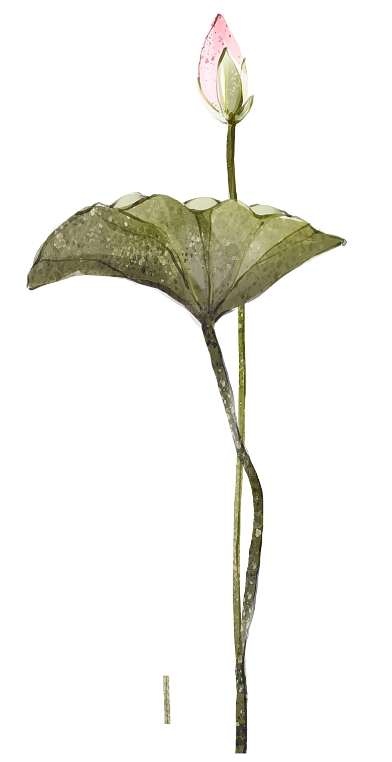 免抠植物古风花草插画元素