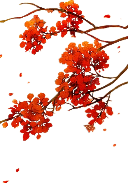 免抠植物古风花草插画元素