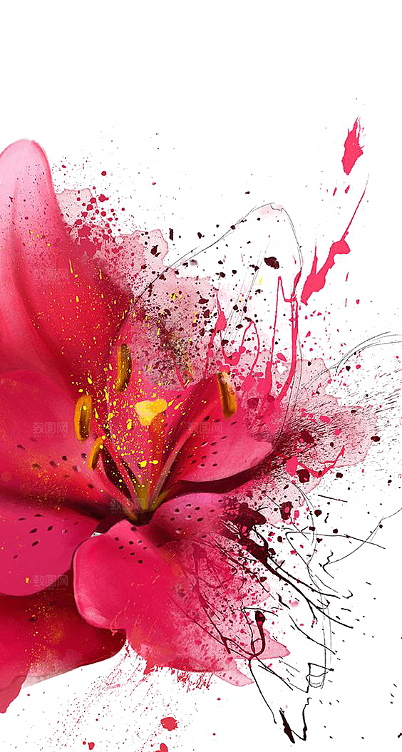 免抠植物古风花草插画元素