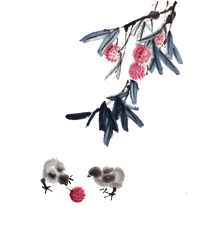 免抠植物古风花草插画元素