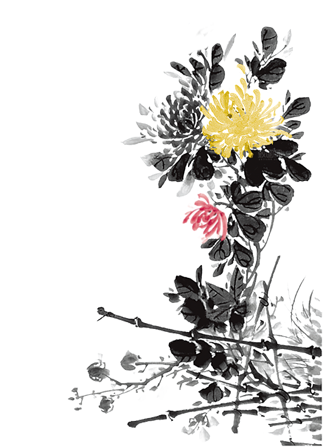 免抠植物古风花草插画元素
